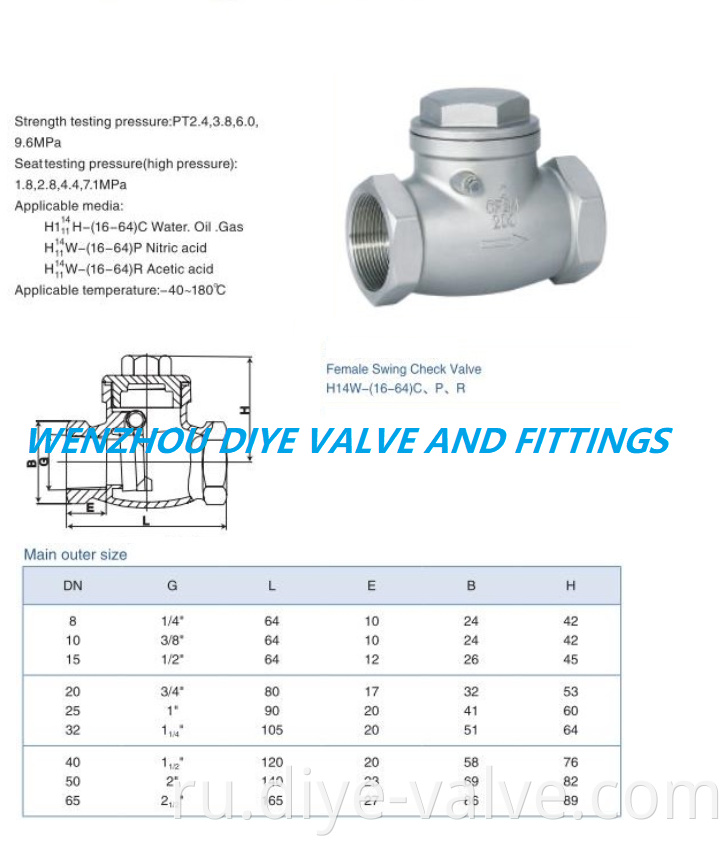 STAINLESS STEEL SWING CHECK VALVE